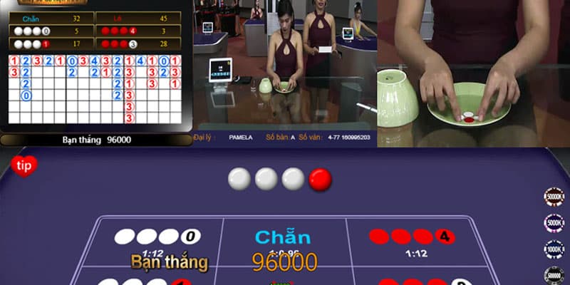Đánh xóc đĩa live tại Sunwin